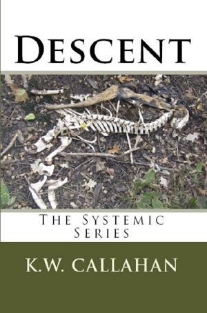 [The Systemic Series 03] • Descent